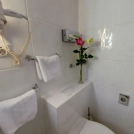 Ξενοδοχείο Regina Χαϊδελβέργη