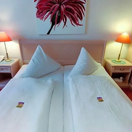 Hotel Regina Heidelberg